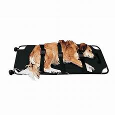 Collapsible Stretcher